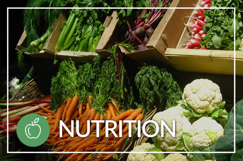Nutrition Videos