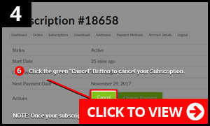 Example