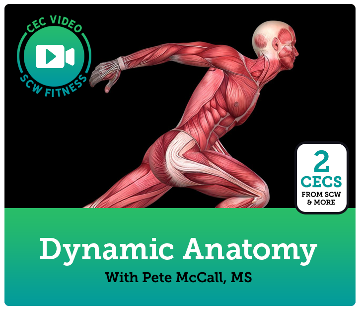 CEC Video Course: Dynamic Anatomy: Core/Upper Body